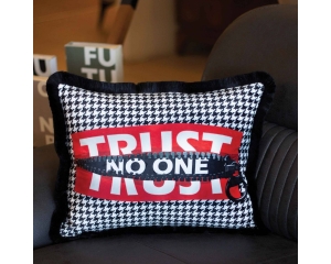 EY282 - Trust No One Yastık