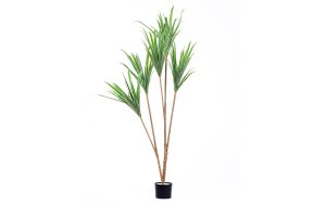 The Mia Yapay Dracaena Ağacı 3 Dallı