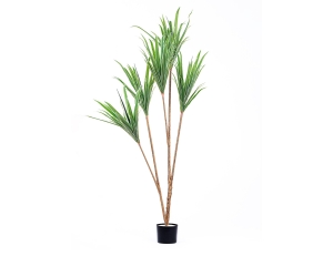 The Mia Yapay Dracaena Ağacı 3 Dallı